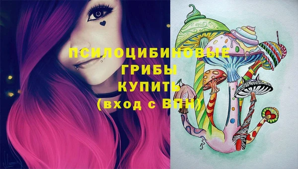 твердый Богданович