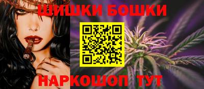 крисы Лесосибирск