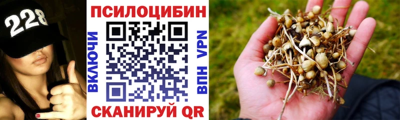 купить наркотик  Губкинский  omg   Галлюциногенные грибы мухоморы 