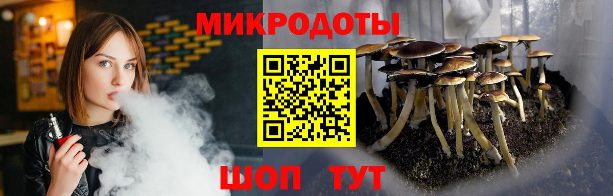 наркошоп  Псилоцибиновые грибы мицелий  Вход с VPN  Губкинский 